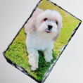 Load image into Gallery viewer, Photo Slates