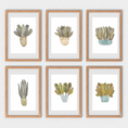 Load image into Gallery viewer, Set of 6 watercolour plants