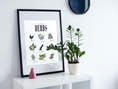 Load image into Gallery viewer, Herbs