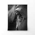 Load image into Gallery viewer, Luxe Range - Horse