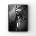 Load image into Gallery viewer, Luxe Range - Horse