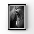 Load image into Gallery viewer, Luxe Range - Horse