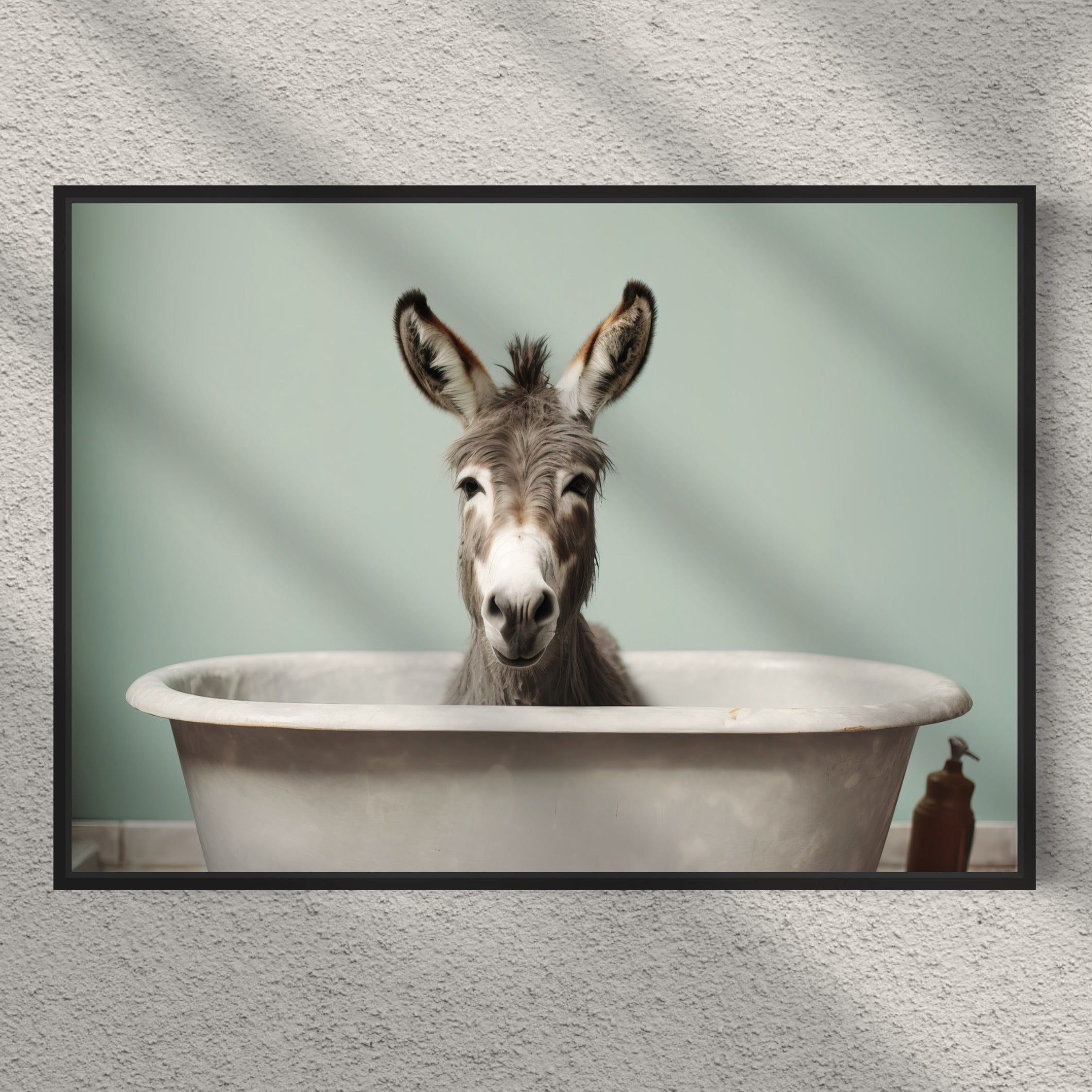 Donkey Bath