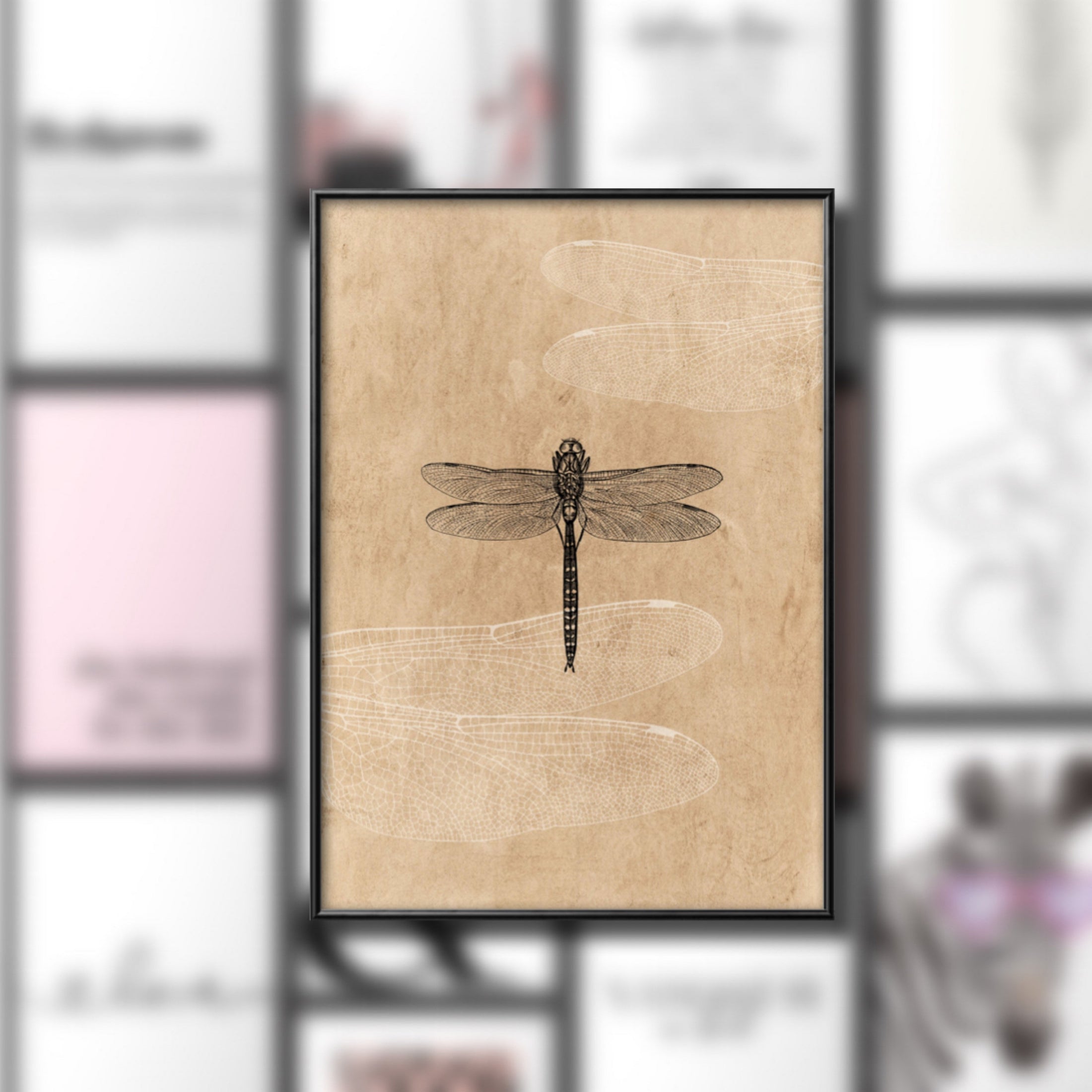 Dragonfly