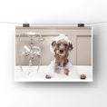 Load image into Gallery viewer, Pup in the bath
