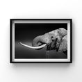 Load image into Gallery viewer, Luxe Range - Drinking elephant
