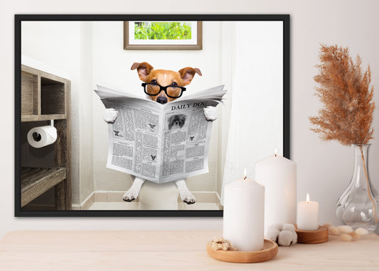 Jack Russel on the toilet