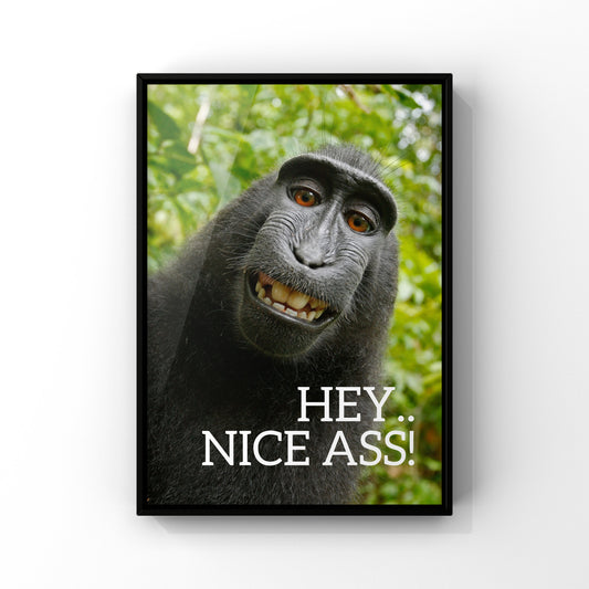 Hey nice ass