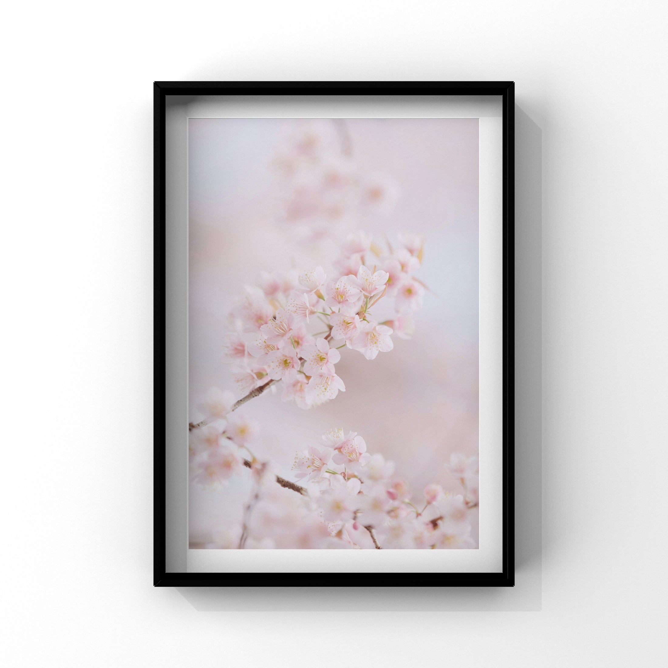 Luxe Range - Cherry Blossom 2