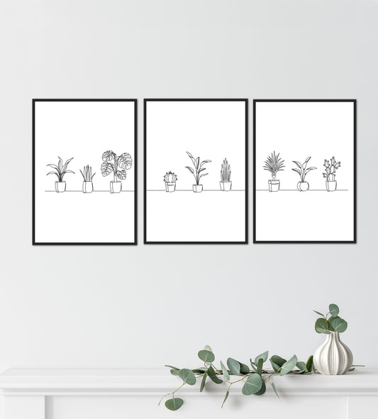 Set of 3 Line art plants