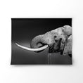 Load image into Gallery viewer, Luxe Range - Drinking elephant
