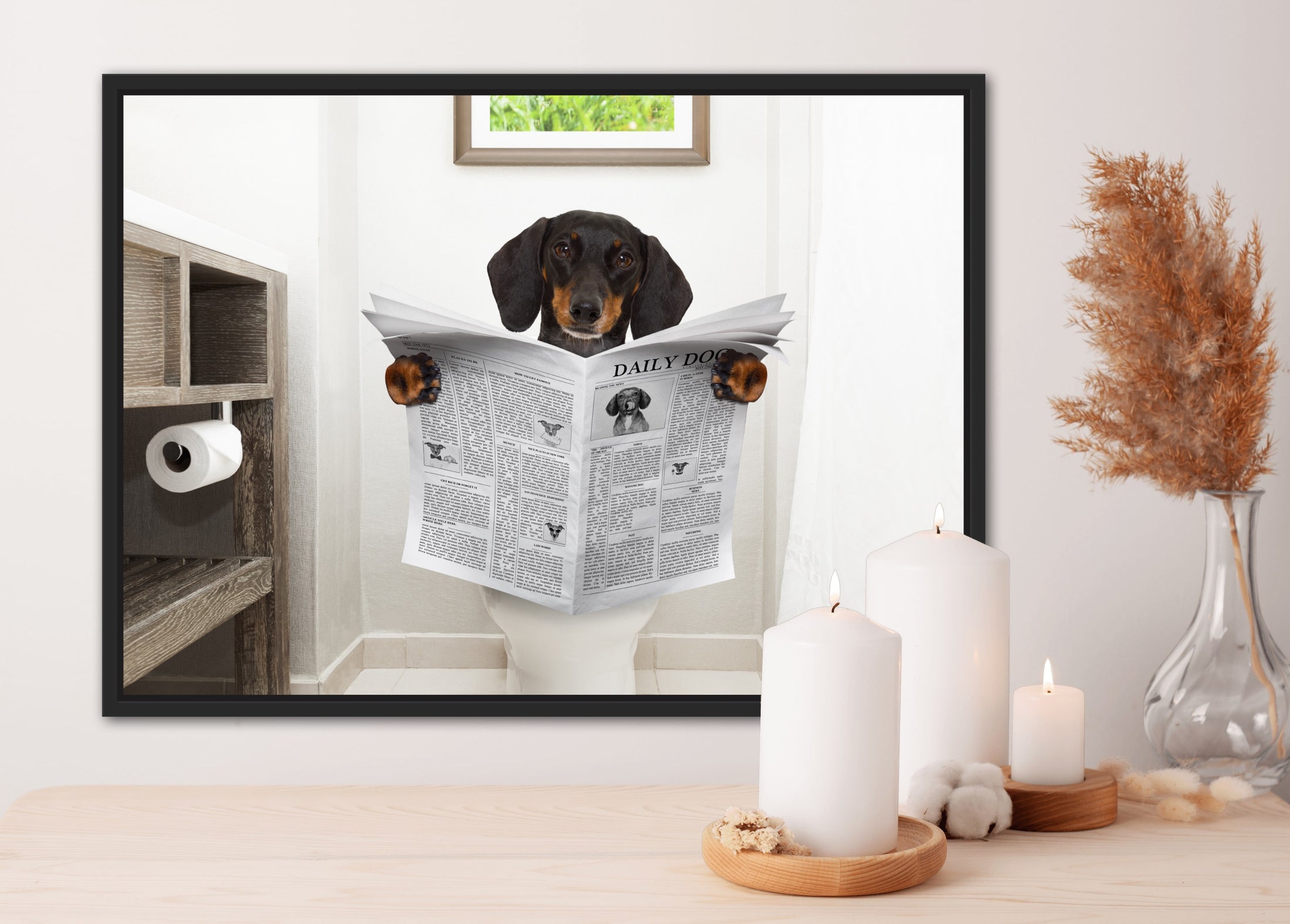 Dachshund on the toilet