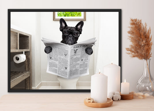 French Bulldog on the toilet