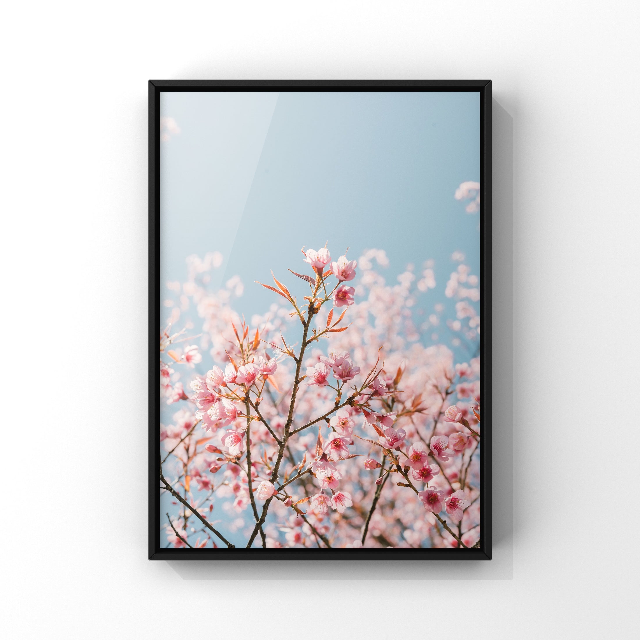 Luxe Range - Cherry Blossom