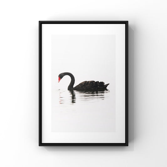 Luxe Range - Black Swan