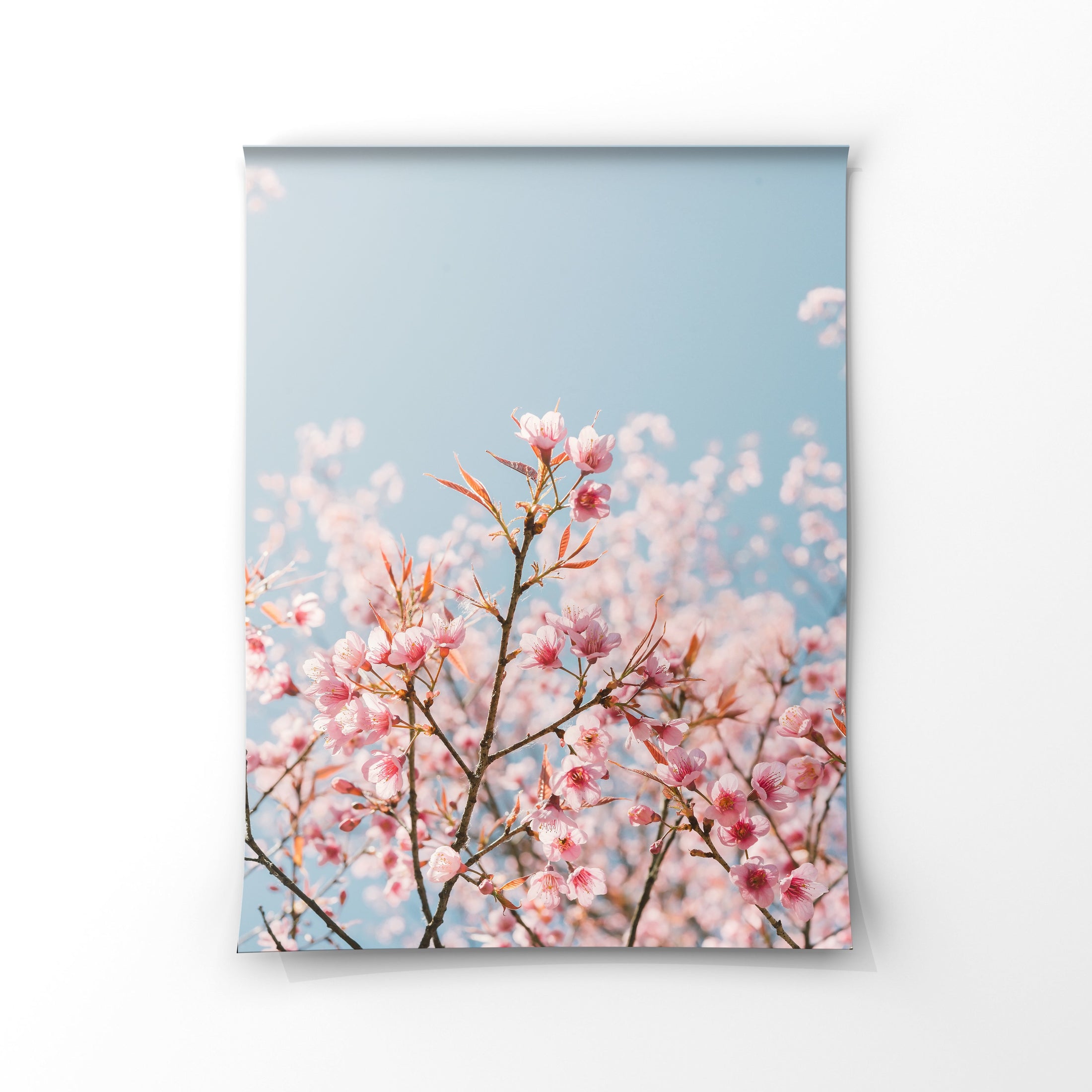 Luxe Range - Cherry Blossom