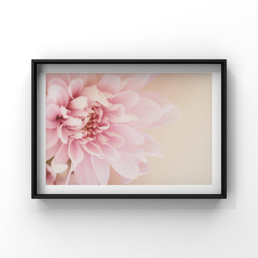 Luxe Collection - Perfect Pinks Gallery Wall Set of 8