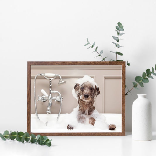 Pup in the bath