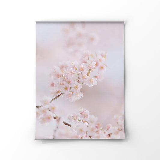 Luxe Range - Cherry Blossom 2