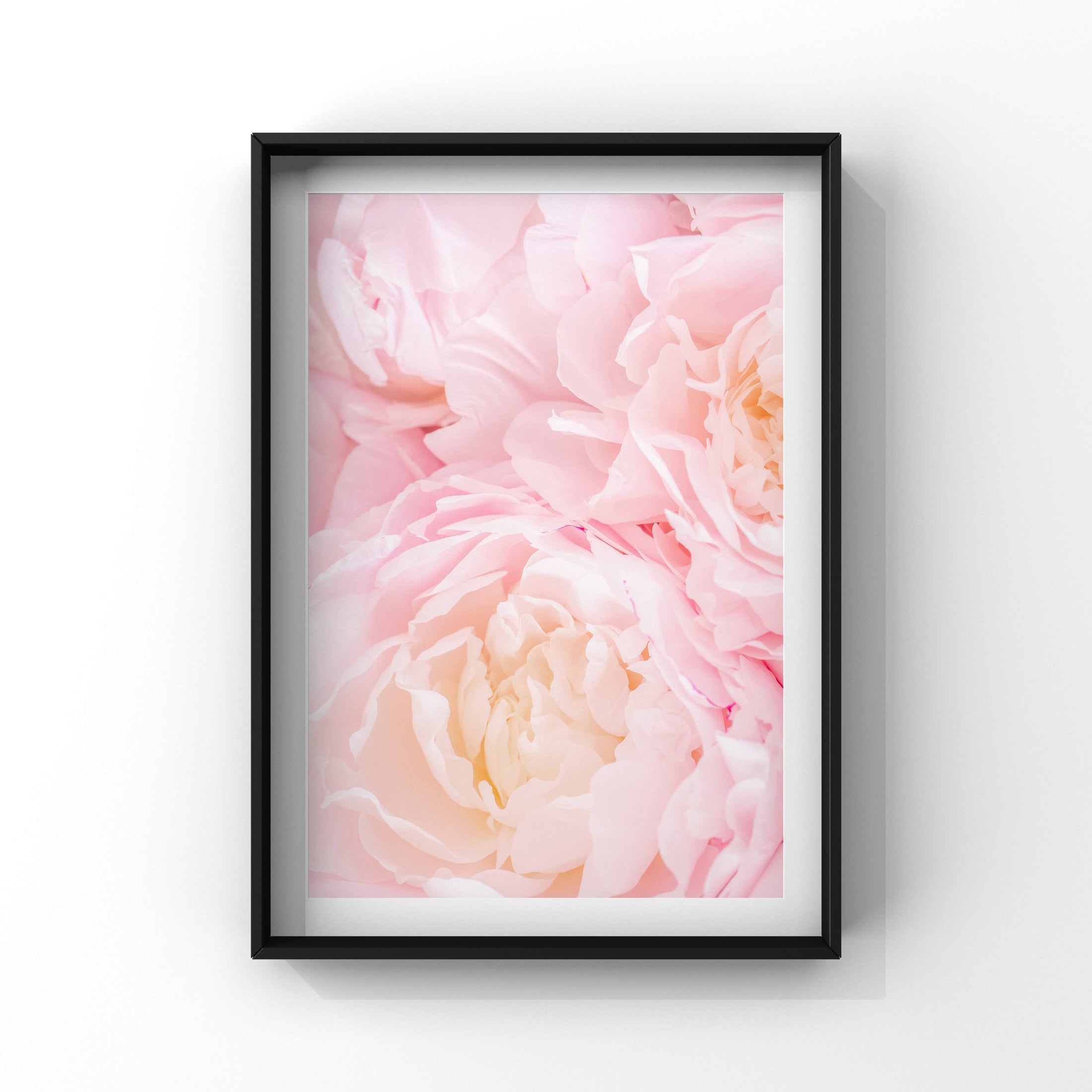 Luxe Collection - Perfect Pinks Gallery Wall Set of 8