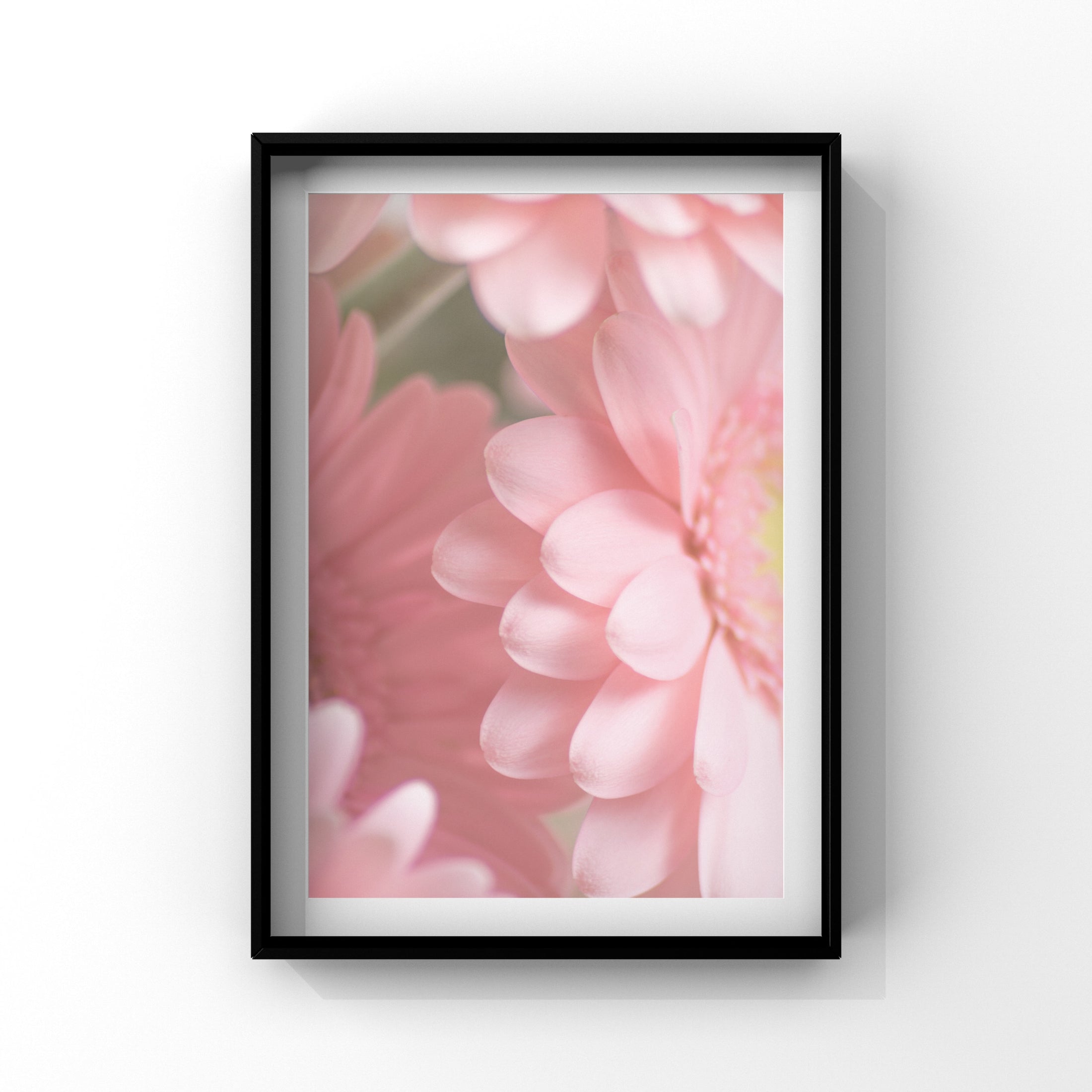 Luxe Collection - Perfect Pinks Gallery Wall Set of 8