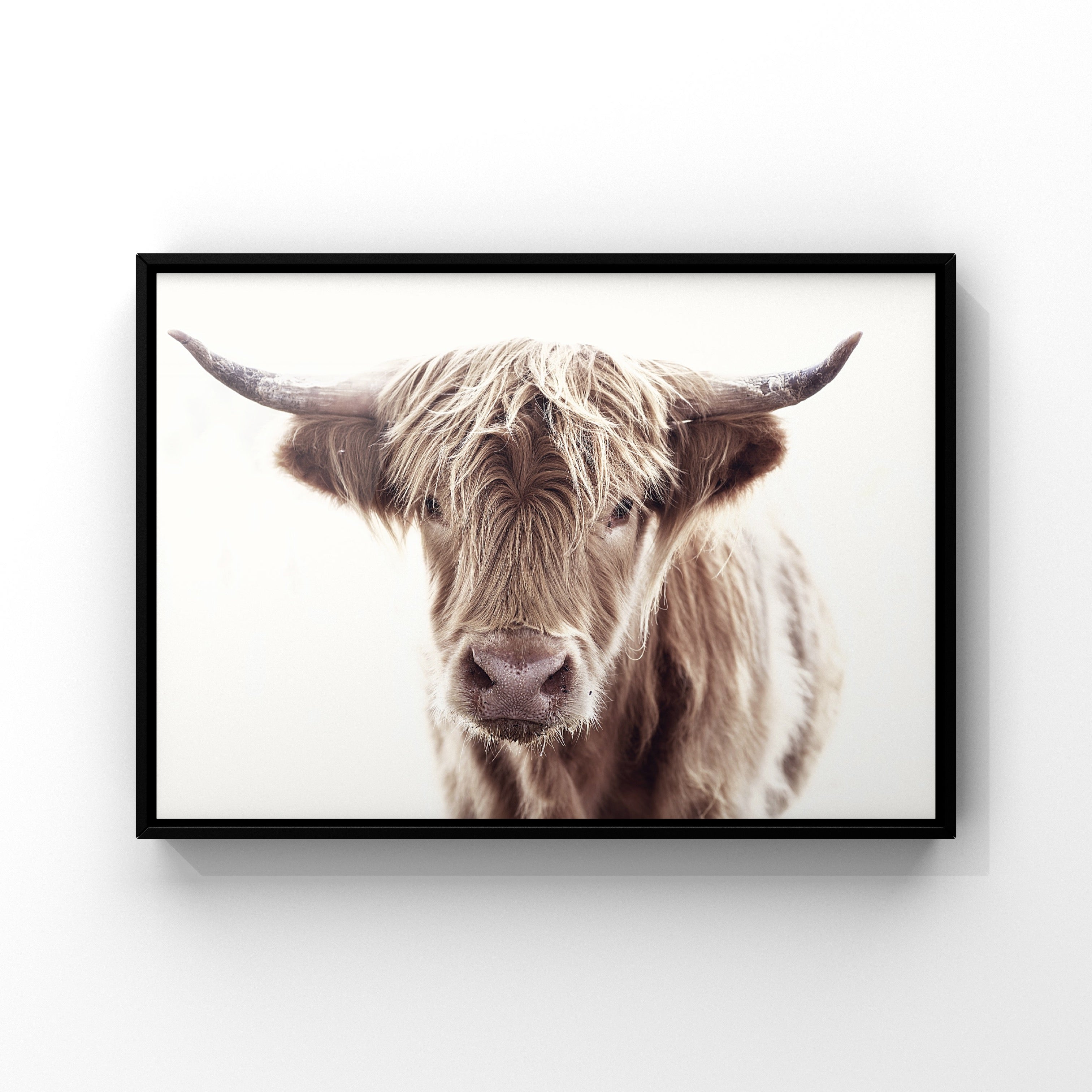 Highland cow 2 – The Little Print Shop